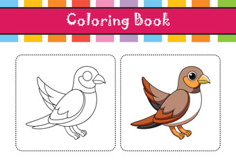  Charming Asian Palm Swift Bird Illustration