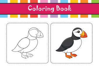  Stunning Atlantic Puffin Bird Representation