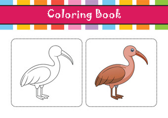  Elegant Australian Ibis Bird Artwork