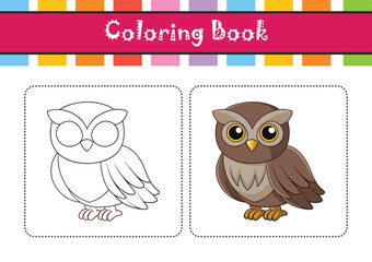  Stunning Australian Owlet Nightjar Representation