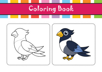  Stunning Bali Myna Bird Representation