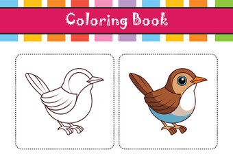  Stunning Bicolored Wren Colorful Illustration