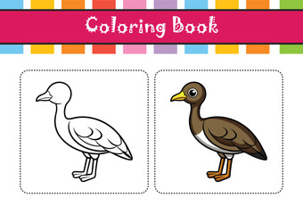  Charming Black-Bellied Bustard Bird Illustration