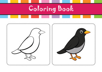  Vivid Black-Breasted Thrush Bird Design