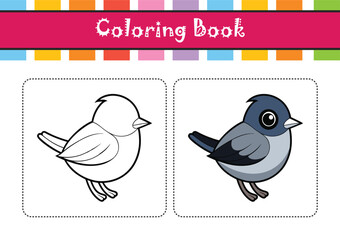  Charming Black-Capped Gnatcatcher Bird Illustration