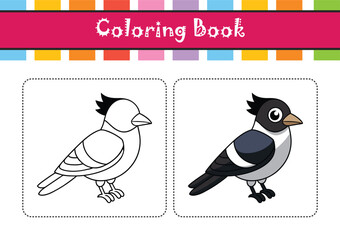  Vivid Black-Faced Monarch Bird Artwork