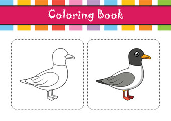  Detailed Black-Headed Gull Depiction