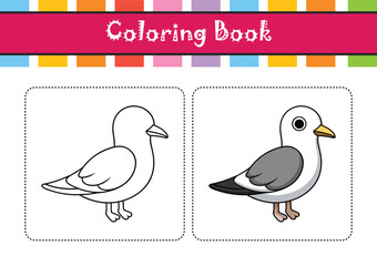  Realistic Black-Legged Kittiwake Illustration