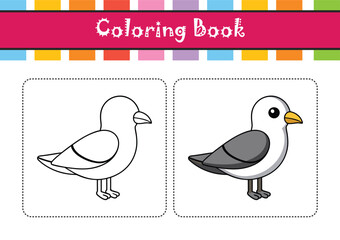  Stunning Black-Legged Kittiwake Design