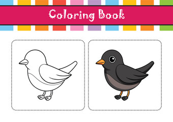  Realistic Black Phoebe Illustration