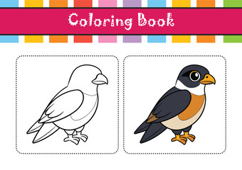  Stunning Black-thighed Falconet Colorful Illustration