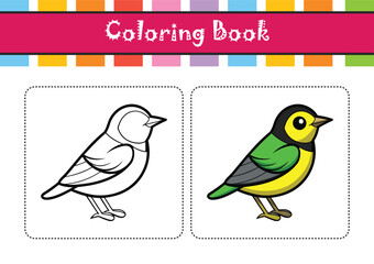  Realistic Black-throated Green Warbler Bird Illustration