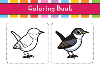  Vibrant Black-throated Wren Bird Detailed Illustration