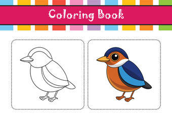  Realistic Bornean Banded Pitta Illustration