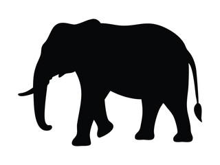 Fototapeta premium Silhouette of an elephant, vector illustration isolated on white background.