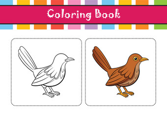  Stunning Brown Thrasher Colorful Illustration