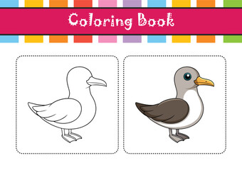  Charming Buller's Shearwater Bird Illustration