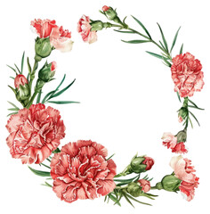 PNG Carnation frame blossom flower plant.