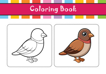  Vivid Cabanis's Bunting Bird Representation