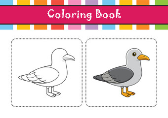  California Gull Bird Realistic Illustration