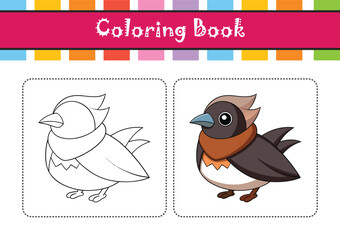  Cape Batis Bird Realistic Illustration