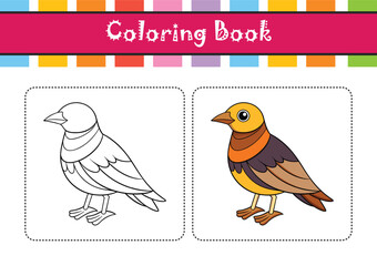  Bright Cape Longclaw Bird Artwork