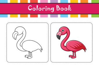  Stunning Chilean Flamingo Bird Representation