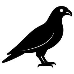 falcon bird black silhouette vector, Simple silhouette Design vector icon with white background. Wild bird