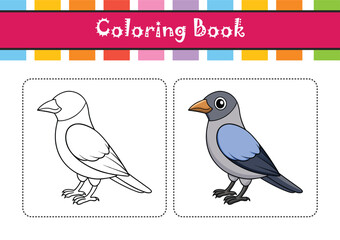  Common Cuckooshrike Bird Colorful Artwork