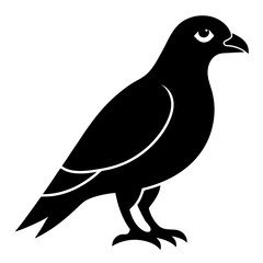 Fototapeta premium hawk bird black silhouette vector, Simple silhouette Design vector icon with white background. Wild bird