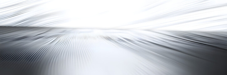 abstract white panorama and silver are light pattern gray with the gradient is the with floor wall metal texture soft tech diagonal background black dark clean modern.