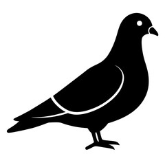 pigeon bird black silhouette vector, Simple silhouette Design vector icon with white background. Wild bird