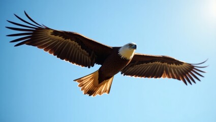 Obraz premium an eagle soaring gracefully through a clear, bright blue sky with its wings fully extended, capturing the essence of freedom