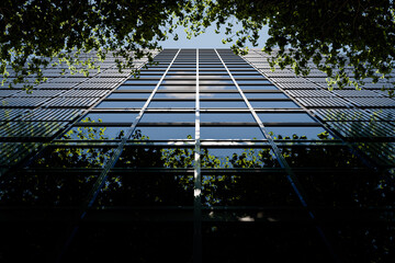 Modern Glass Facade Reflecting Trees and Sky - 3D Illustration (no AI)