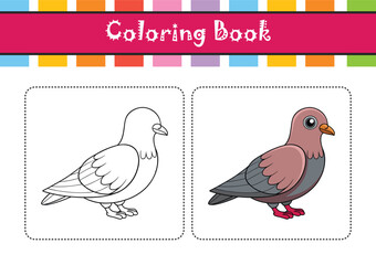  Vivid Common Ground Dove Bird Design