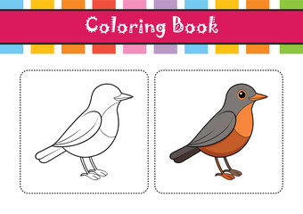  Common Rock Thrush Bird Realistic Art