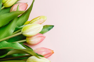 Fototapeta premium Bouquet of beautiful tulip flowers on pink background.