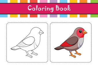  Common Waxbill Bird Realistic Illustration