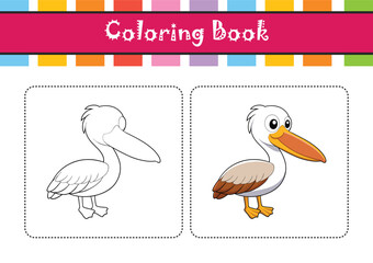  Elegant Dalmatian Pelican Bird Vector