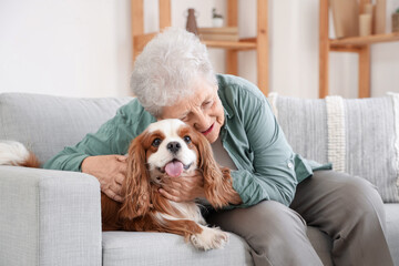 Senior woman with cute cavalier King Charles spaniel dog sitting on sofa at home