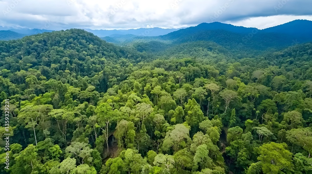 Poster Aerial view of a dense verdant forest canopy hinting at the possibility of unexplored cave systems hidden beneath the vegetation