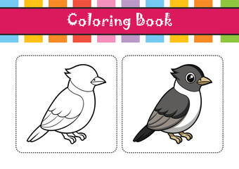  Realistic Eastern Kingbird Bird Illustration