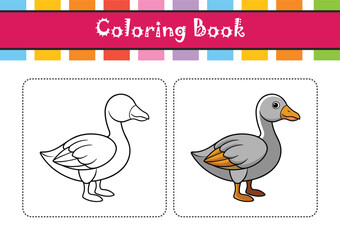  Emperor Goose Bird Colorful Artwork