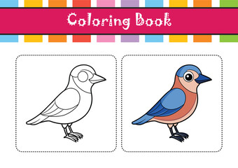  Eurasian Jay Bird Realistic Illustration