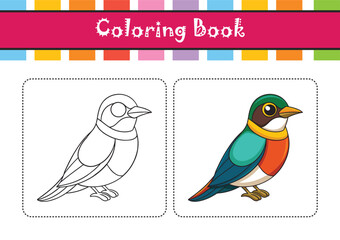  Stunning European Bee-Eater Nature Illustration