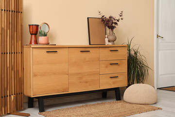 Stylish interior of living room with eucalyptus and cactus on chest of drawers