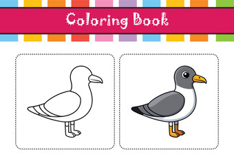  Franklin's Gull Bird Realistic Illustration