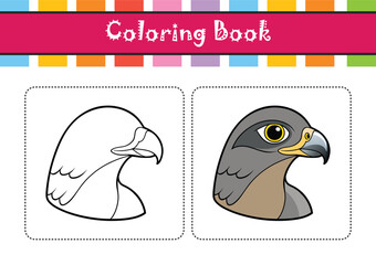 Elegant Goshawk Bird Vector