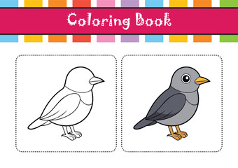  Stunning Gray-cheeked Thrush Bird Illustration