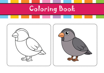  Elegant Gray-crowned Rosy Finch Bird Vector